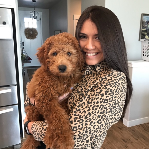 Meet your Posher, Robin - Picture 2 of 8